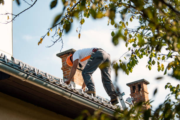 Best Storm Damage Roof Repair  in Somonauk, IL