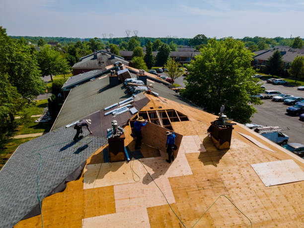 Best Residential Roofing Contractor  in Somonauk, IL