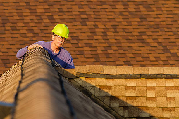 Best Commercial Roofing Services  in Somonauk, IL