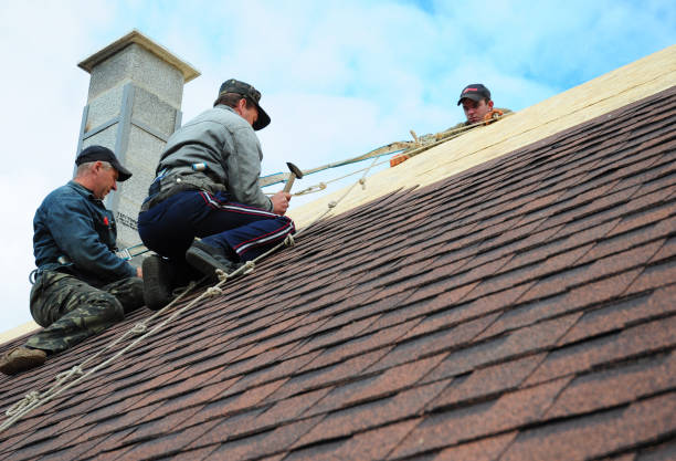 Best Roof Leak Repair  in Somonauk, IL
