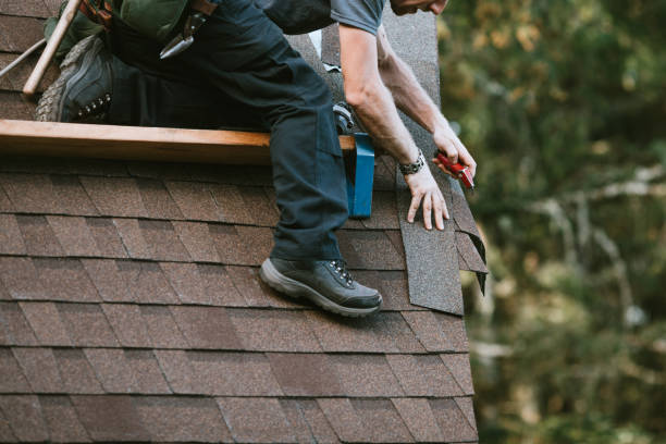 Best New Roof Installation  in Somonauk, IL